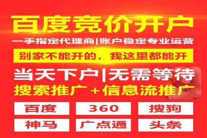 案例解析：揭秘高效竞价推广技巧